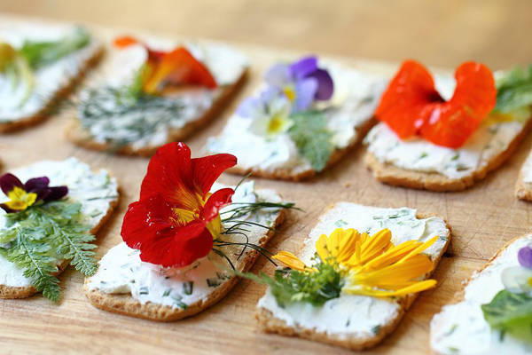 canapes-con-flores-comestibles.jpg