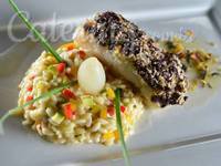Alta gastronomia